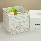 Agnes + Cat Extra Large Crackle Soy Candle - Fellberry