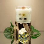 Agnes + Cat Extra Large Crackle Soy Candle - Windermere